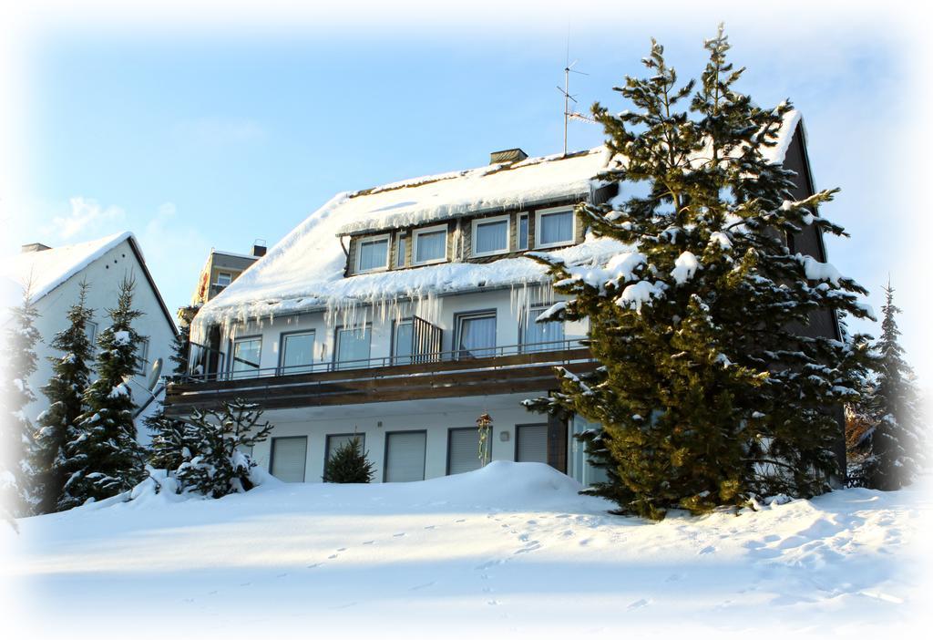 Wietheger'S Gaestehaus Centrum Willingen  Rom bilde